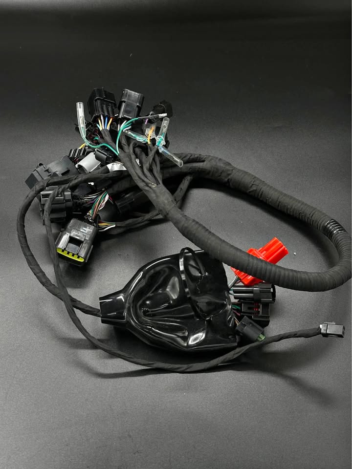 Surron Ultra Bee Wiring Loom