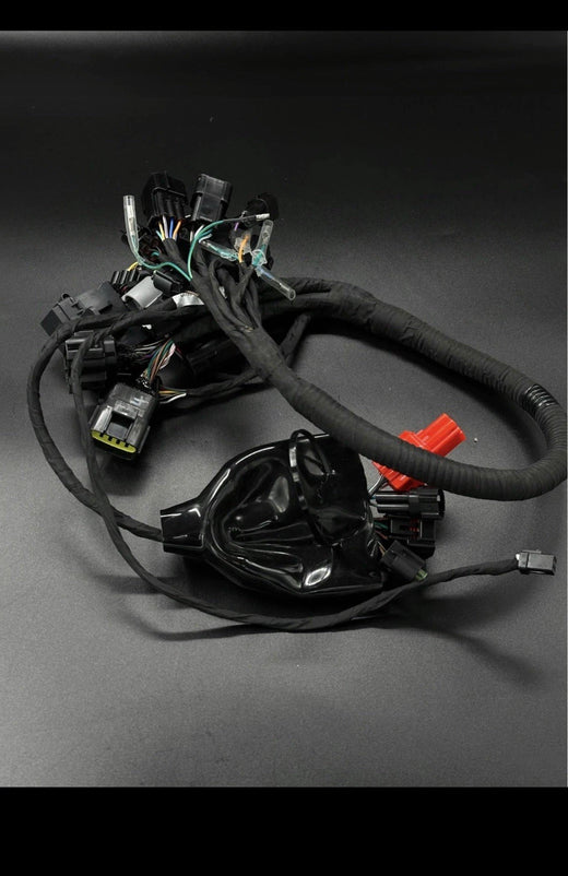 Surron Ultra Bee Wiring Loom